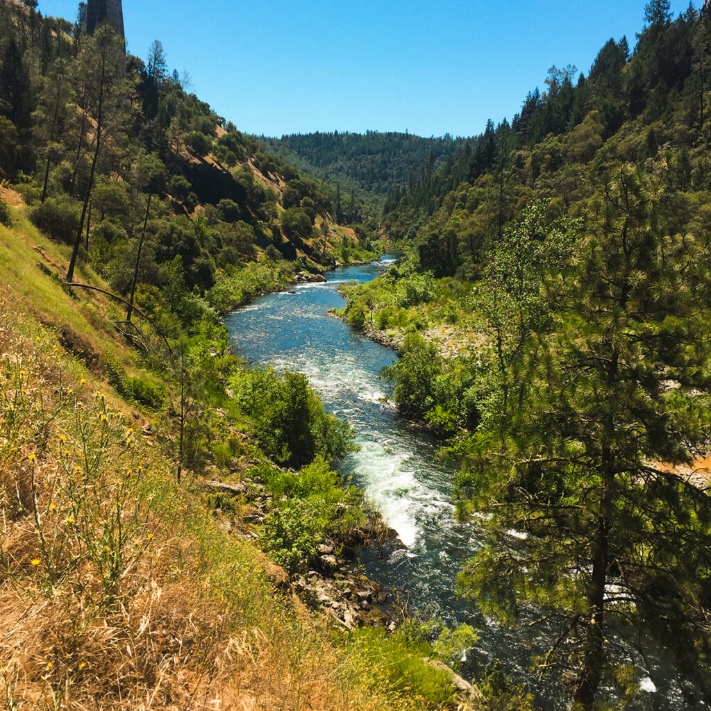 A creek in Lake Clementine in Auburn, CA on a sunny day. The creek is surrounded by trees and the foothills.